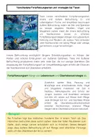 Vorschau - Arbeitsblätter - Fortpflanzung Biologieunterricht: Meiose, Mitose, Keimzellen, Tiere, Pflanzen & Artenerhalt - Seite 3