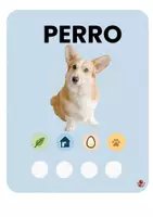 Vista previa - Juegos / Gamificación - Características de los animales- material manipulativo - página 1