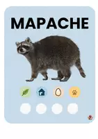 Vista previa - Juegos / Gamificación - Características de los animales- material manipulativo - página 3