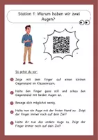Vorschau - Stationenlernen - Stationsarbeit Funktionen der Augen - Seite 2