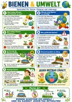 Vorschau - Poster - Bienen & Umwelt – Spickzettel | Biologie - Seite 1