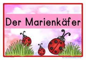 Vorschau - Merkblätter - Marienkäfer Reihentransparenz - Seite 3