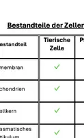 Vorschau - Arbeitsblätter - Bildschirmfoto 2026-05-14 um 16 - Deckblatt