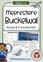 Vorschau - Unterrichtsreihen - Meerestiere – Buckelwal | Kartei & Forscherheft Kl. 1/2 - Deckblatt