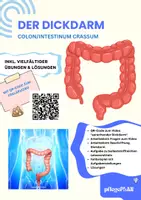 Vorschau - Arbeitsblätter - Der DICKDARM - Arbeitsheft Pflege & Biologie mit QR-Code, Fallbeispiel & Lösungen - Deckblatt