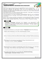 Vorschau - Arbeitsblätter - Consumer Citizenship - Seite 1