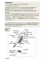 Vorschau - Merkblätter - Die Beschreibung (Vorgangs-, Gegenstands- und Tierbeschreibung) - Seite 2