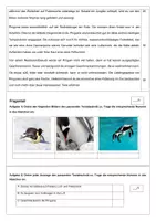 Vorschau - Arbeitsblätter - Leseprobe über Pinguine Klasse 5/6 - Seite 1