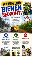 Vorschau - Bildkarten - QUAPPIZ Kindernews - Bedrohte Bienen - Seite 1