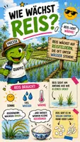 Vorschau - Bildkarten - QUAPPIZ Kindernews: Wie wächst der Reis? - Deckblatt