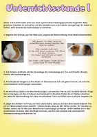 Vorschau - Stundenentwürfe - Tierbeschreibung Klasse 5/6 (Suchanzeige verfassen) - Seite 1
