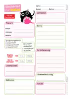 Vorschau - Arbeitsblätter - Katze Komplettpaket - mit Lesetext, Steckbrief, Lückentext, Suchsel, Quiz und Ausmalbildern - Seite 2