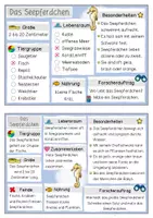 Vorschau - Unterrichtsreihen - Meerestiere – Seepferdchen | Kartei & Forscherheft Kl. 1/2 - Seite 3