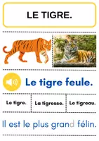 Aperçu - Feuilles d'exercices - Mission Animaux - Lecture et Exposé CP - Page 3