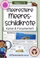 Vorschau - Unterrichtsreihen - Meerestiere – Meeresschildkröte | Kartei & Forscherheft Kl. 1/2 - Deckblatt