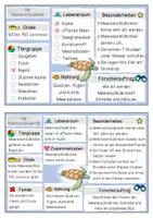 Vorschau - Unterrichtsreihen - Meerestiere – Meeresschildkröte | Kartei & Forscherheft Kl. 1/2 - Seite 3