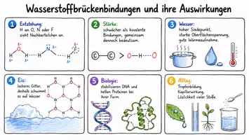 Vorschau - Arbeitsblätter - Lernposter + Arbeitsblatt "Wasserstoffbrückenbindungen und ihre Auswirkungen" + interaktive Lösung & MP3 + Mindmap + Infografik - Seite 2