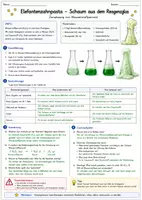 Vorschau - Arbeitsblätter - Chemie-Experiment "Elefantenzahnpasta" (Zersetzung von Wasserstoffperoxid) für die Sekundarstufe I - Seite 1
