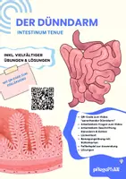 Vorschau - Stationenlernen - DER DÜNNDARM - Arbeitsheft (Pflege) & Biologie mit QR-Code, Bewegungsübung & Lösungen - Deckblatt