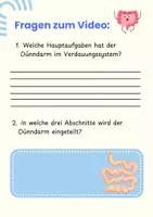 Vorschau - Stationenlernen - DER DÜNNDARM - Arbeitsheft (Pflege) & Biologie mit QR-Code, Bewegungsübung & Lösungen - Seite 2