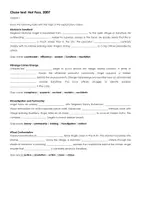Vorschau - Arbeitsblätter - Arbeitsblatt / Worksheet "Hot Fuzz, 2007" - Seite 1