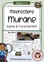 Vorschau - Unterrichtsreihen - Meerestiere Sachunterricht – Materialpaket mit Kartei & Forscherheften - Seite 1