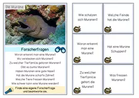 Vorschau - Unterrichtsreihen - Meerestiere Sachunterricht – Materialpaket mit Kartei & Forscherheften - Seite 2