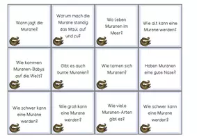 Vorschau - Unterrichtsreihen - Meerestiere Sachunterricht – Materialpaket mit Kartei & Forscherheften - Seite 3