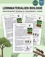 Vorschau - Stundenentwürfe - Arbeitsteilige Erarbeitung der Symbiose zw. Ameisenbaum und Ameise - Deckblatt