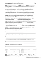 Vorschau - Test - Grammatiktest: Konjunktionen des Begründens (zweifach differenziert) - Seite 2