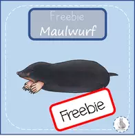 Vorschau - selbst erstellte Cliparts/Grafiken - Maulwurf Clipart Freebie - Deckblatt