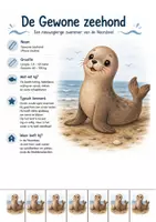 Voorbeeld - Identiteitskaarten zeedieren & opdrachten - Pagina 1