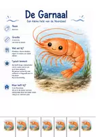 Voorbeeld - Identiteitskaarten zeedieren & opdrachten - Pagina 3