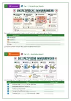 Vorschau - Arbeitsblätter - Immunsystem Fallstudie Patientin Mia Biologie Klasse 8-10 Arbeitsblatt mit Lösungen - Seite 3
