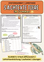 Vorschau - Unterrichtsreihen - Sachtexte im Sommer – Materialpaket Deutsch Klasse 5/6 | Lesekompetenz & Stationslernen - Seite 3