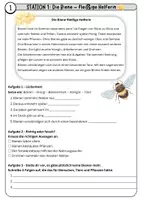 Vorschau - Unterrichtsreihen - Sachtexte Tiere im Sommer – Stationsarbeit Deutsch Klasse 5 | Differenziert & mit Lösungen - Seite 3