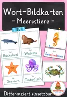 Vorschau - Spiele - Meerestiere – Wort- und Bildkarten | Tiere im Meer | 35 Tiere mit Artikel & Silbenschrift | differenziert Kita bis Klasse 2 | DaZ - Deckblatt