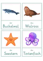 Vorschau - Spiele - Meerestiere – Wort- und Bildkarten | Tiere im Meer | 35 Tiere mit Artikel & Silbenschrift | differenziert Kita bis Klasse 2 | DaZ - Seite 1