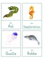 Vorschau - Spiele - Meerestiere – Wort- und Bildkarten | Tiere im Meer | 35 Tiere mit Artikel & Silbenschrift | differenziert Kita bis Klasse 2 | DaZ - Seite 2