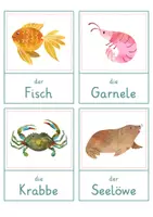 Vorschau - Spiele - Meerestiere – Wort- und Bildkarten | Tiere im Meer | 35 Tiere mit Artikel & Silbenschrift | differenziert Kita bis Klasse 2 | DaZ - Seite 3