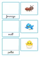 Vista previa - Juegos / Gamificación - Associació Paraula - Imatge PRIMAVERA (lligada) - Portada