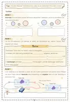 Vorschau - Unterrichtsreihen - Salze | Chemie 8 | komplette Unterrichtsreihe | 11 sofort einsetzbare Unterrichtsstunden | Forscherheft - Seite 3