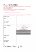 Vorschau - Arbeitsblätter - Zirkulation und wechselfeuchte Tropen - Material und Unterricht - Seite 3