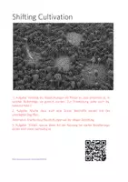 Vorschau - Arbeitsblätter - Shifting Cultivation - Material und Unterricht - Seite 3