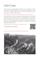Vorschau - Arbeitsblätter - Cashcrops und Subsistenz - Material und Unterricht - Seite 2