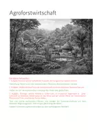 Vorschau - Arbeitsblätter - Agroforstwirtschaft - Material und Unterricht - Seite 3