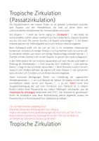 Vorschau - Arbeitsblätter - Tropische Zirkulation (Passatzirkulation) - Material und Unterricht - Seite 2