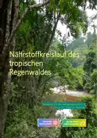 Vorschau - Arbeitsblätter - Materialpaket: Innere Tropen/ Regenwald - Seite 1