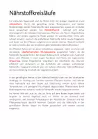 Vorschau - Arbeitsblätter - Materialpaket: Innere Tropen/ Regenwald - Seite 3