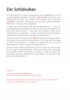 Vorschau - Arbeitsblätter - Schildvulkan - Material und Unterricht - Seite 2